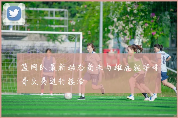 篮网队最新动态尚未与雄鹿就字母哥交易进行接洽